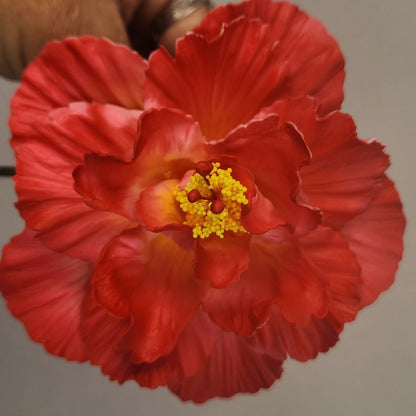 Hibiscus Light Red Triple 12.5cm- Realistic artificial Flowers