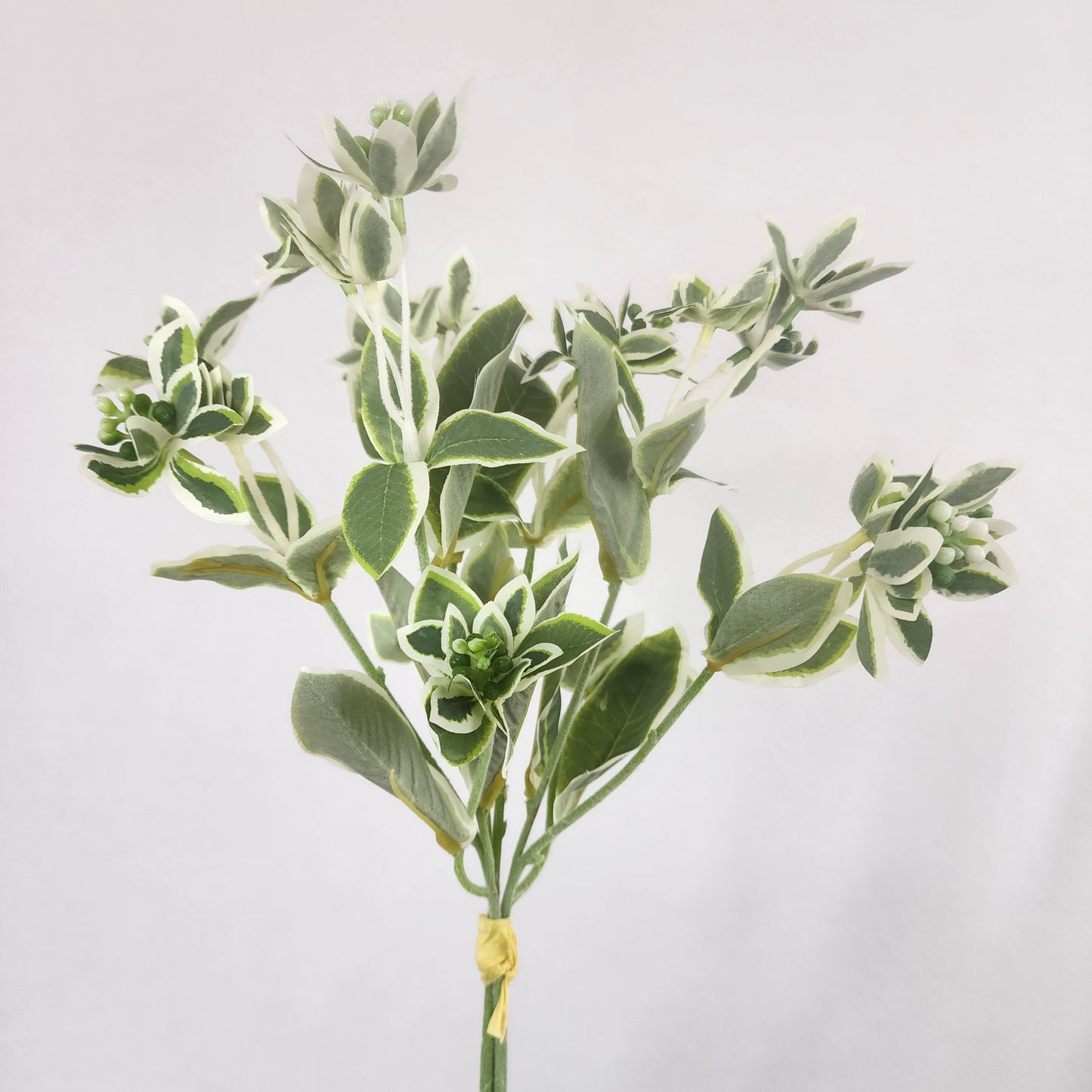 Euphorbia Variegated Greenery -Realistic Artificial Greenery