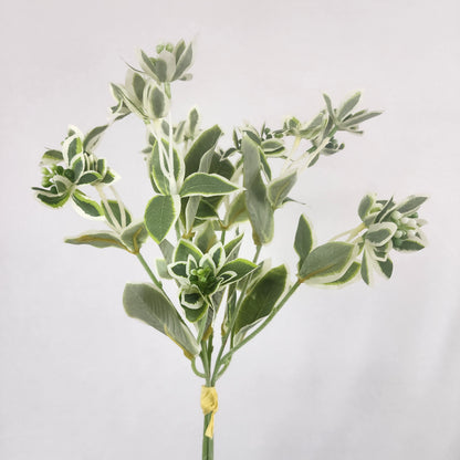 Euphorbia Variegated Greenery -Realistic Artificial Greenery