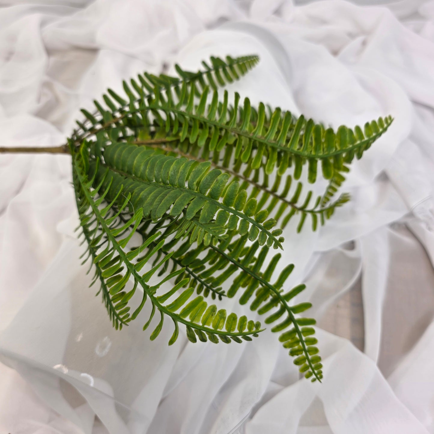 Fishbone Fern Large  - Realistic Artificial Flowers and Greenery