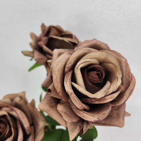 Coffee Royal Real Touch Rose