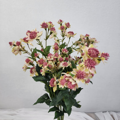 Astrania Pink - Realistic Artificial Flowers