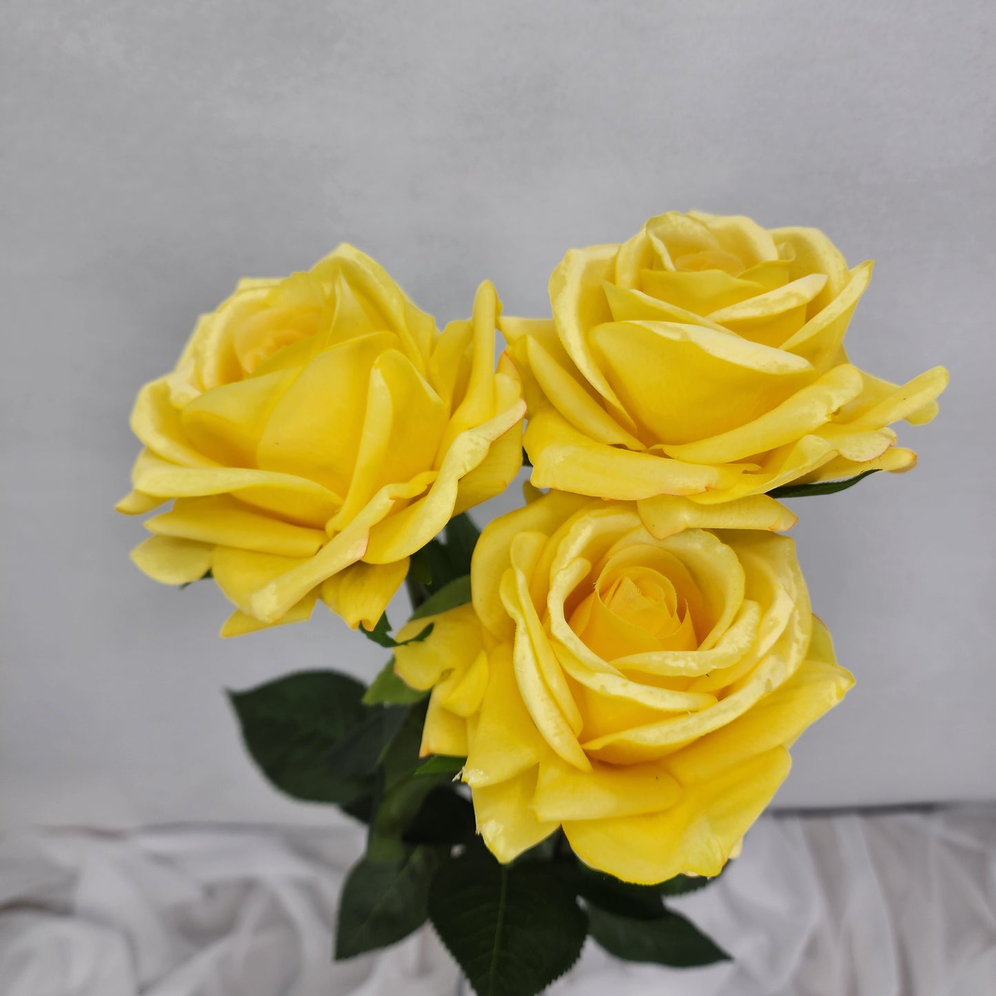 Yellow Royal Real Touch Rose