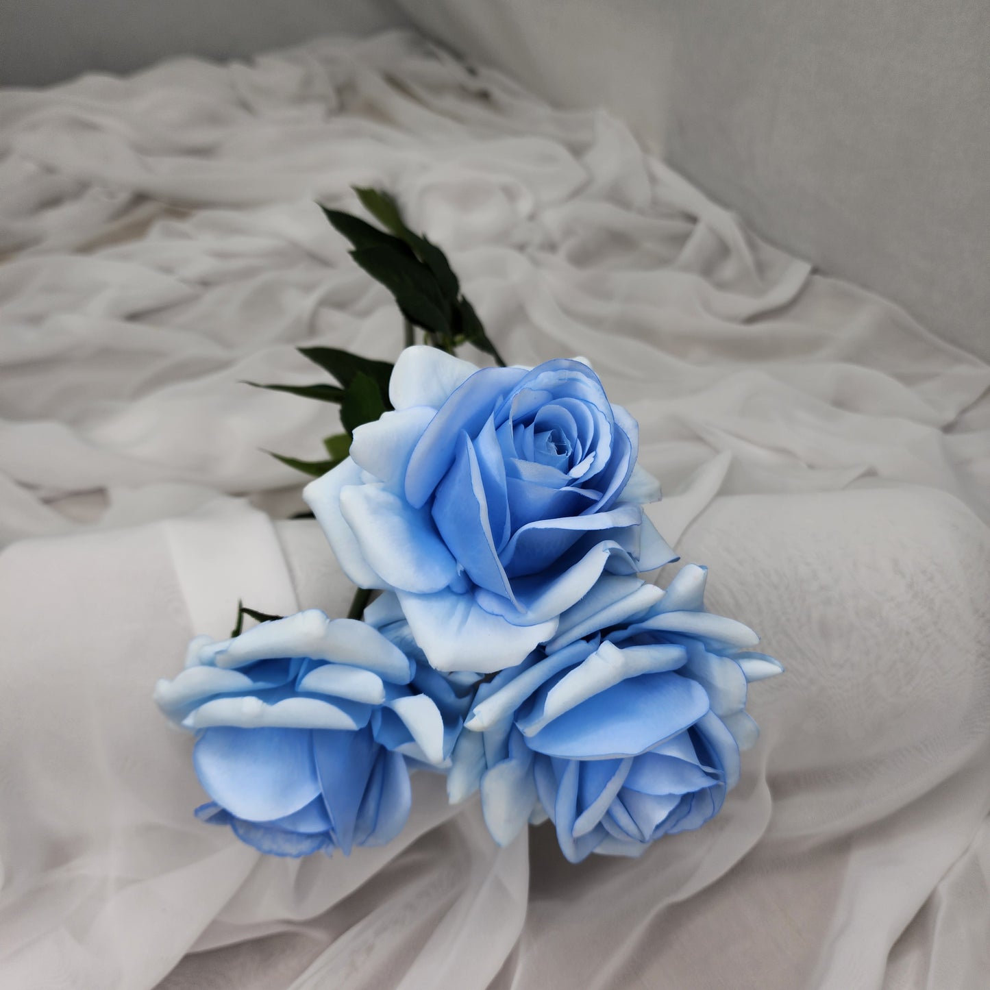 Ice Blue Royal Real Touch Rose