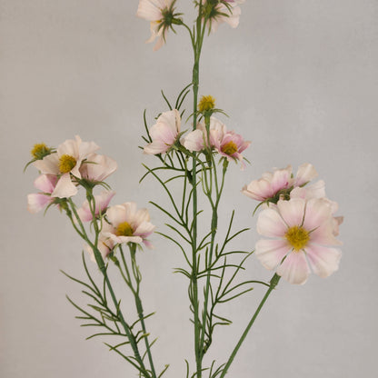 Pale Pink Mini Cosmos Spray - Realistic Artificial Flowers