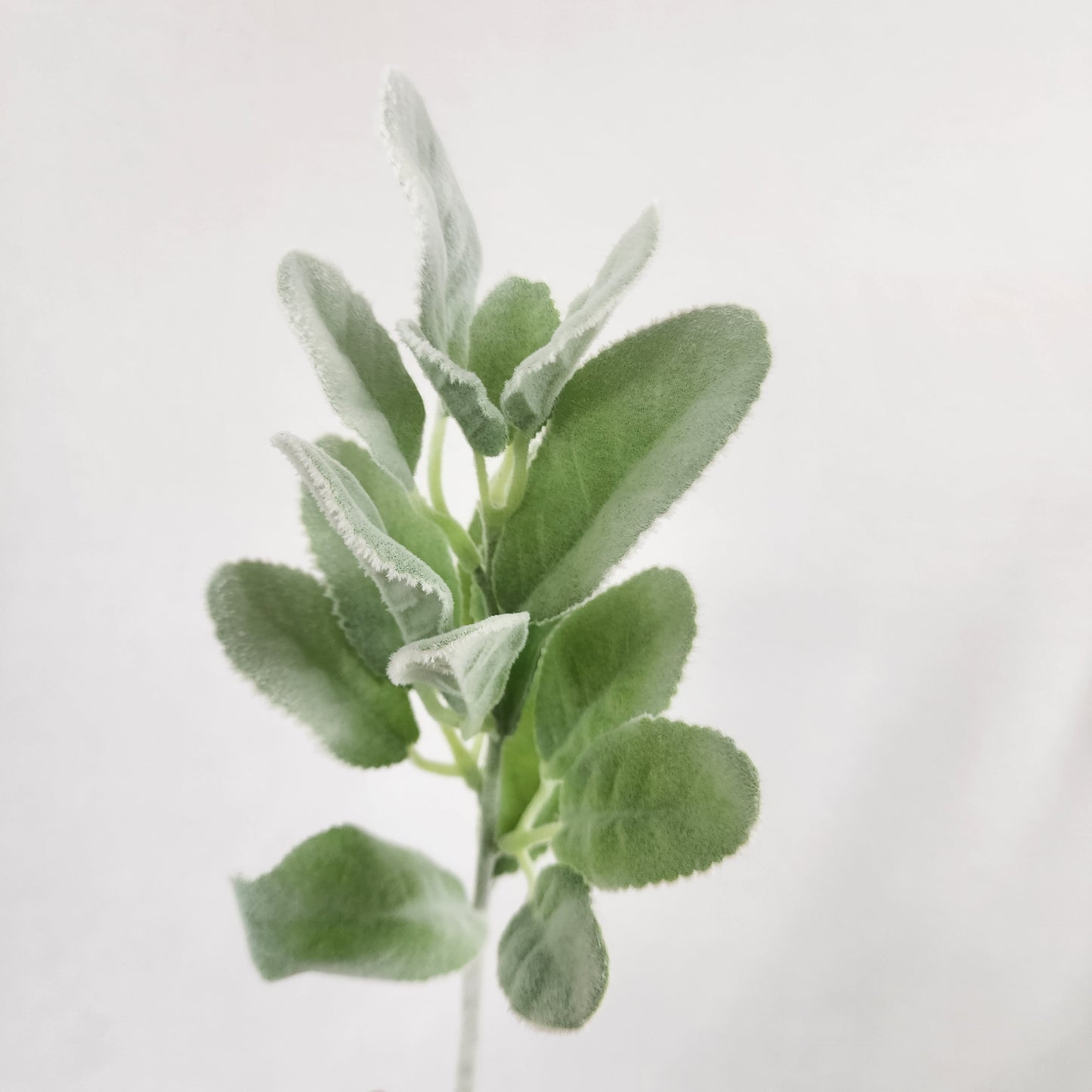 Lambs Ear /Woolly Hedgenettle Greenery -Realistic Artificial Greenery