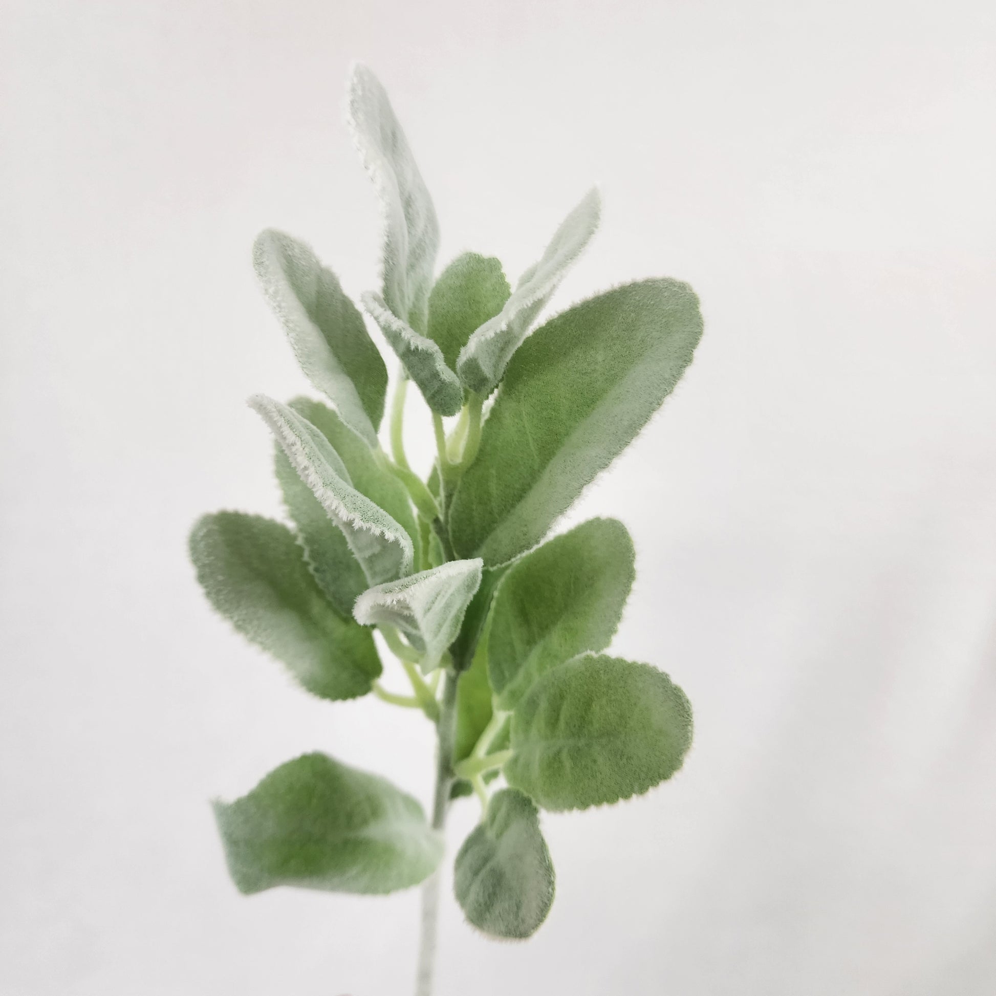 Lambs Ear /Woolly Hedgenettle Greenery -Realistic Artificial Greenery