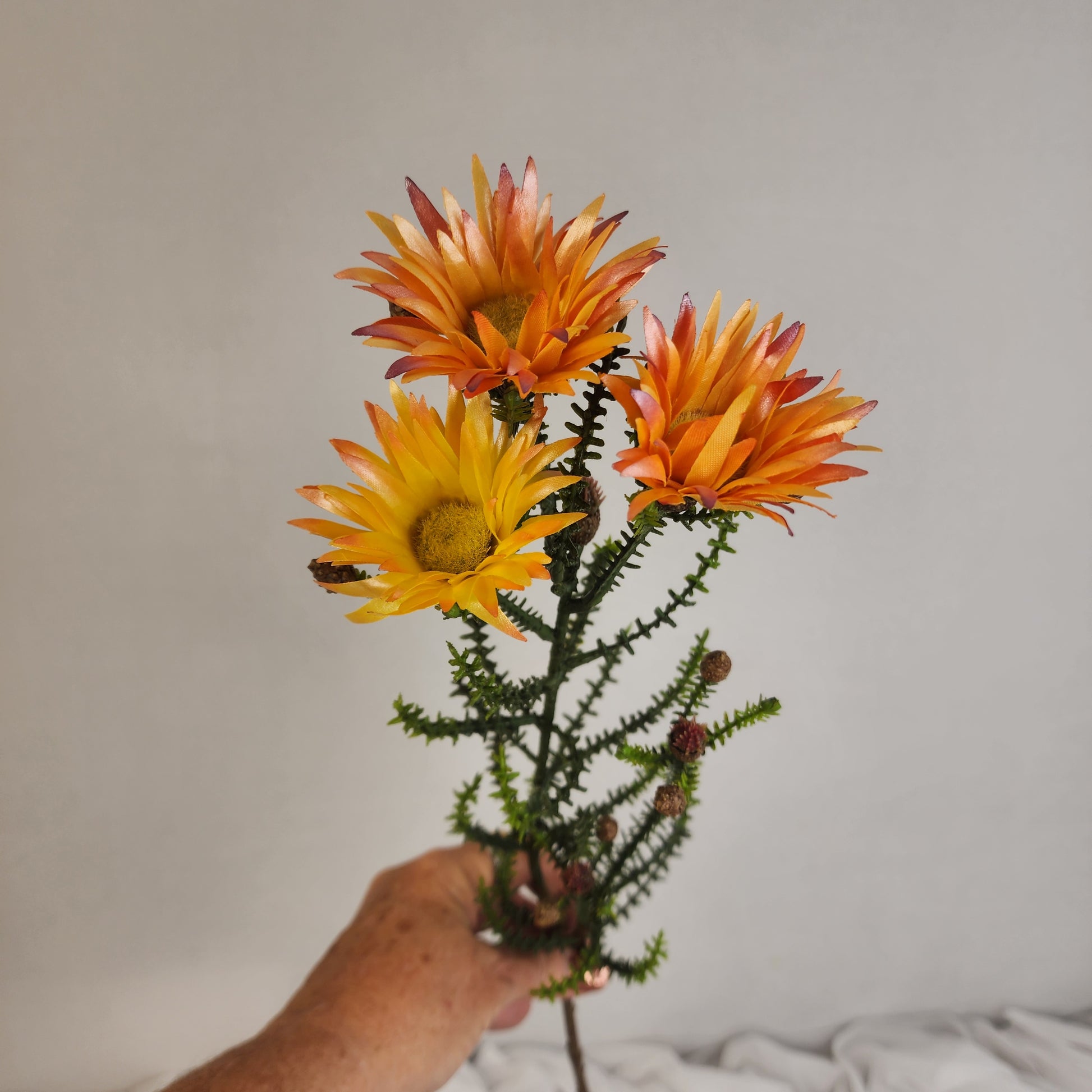 Desert Daisy Orange- Kaaps Flower , Realistic Artificial Flowers