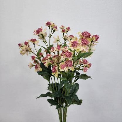 Astrania Pink - Realistic Artificial Flowers