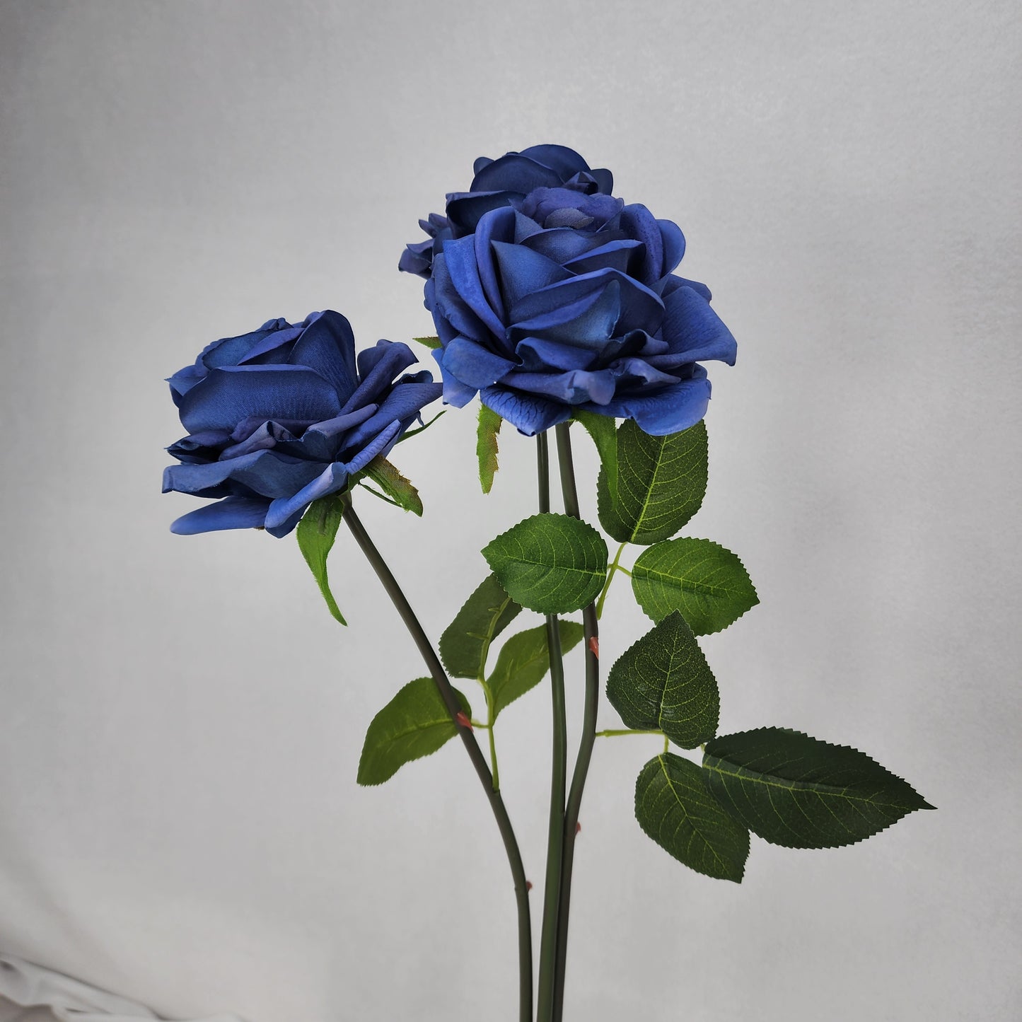 Navy Blue Royal Real Touch Rose