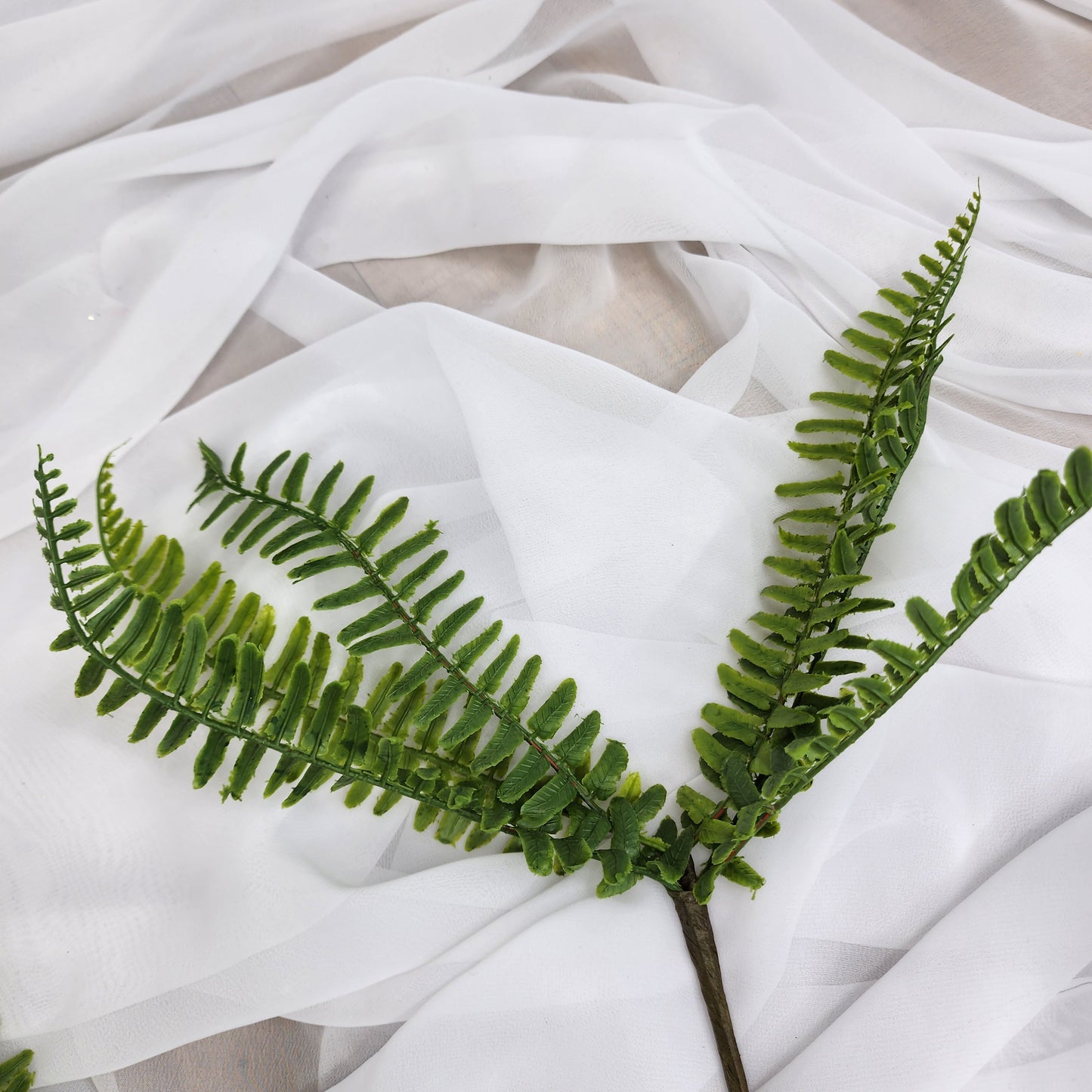 Fishbone Fern Small - Real Touch Greenery