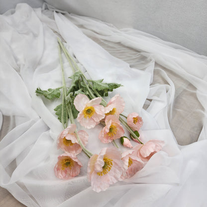 Icelandic Poppies - Light Pink