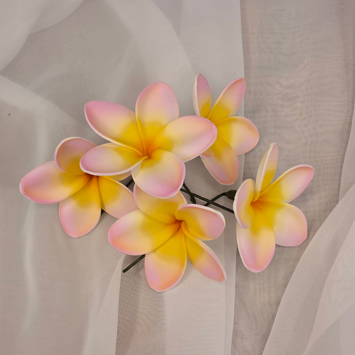 Pink/White/Yellow Frangipani 7cm Flowerhead