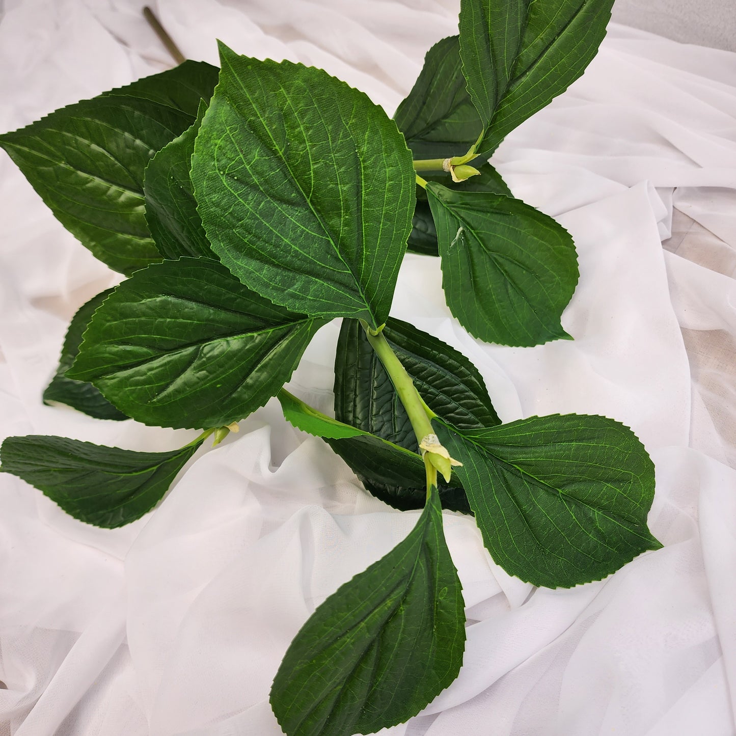 Hydrangea Leaf Spray
