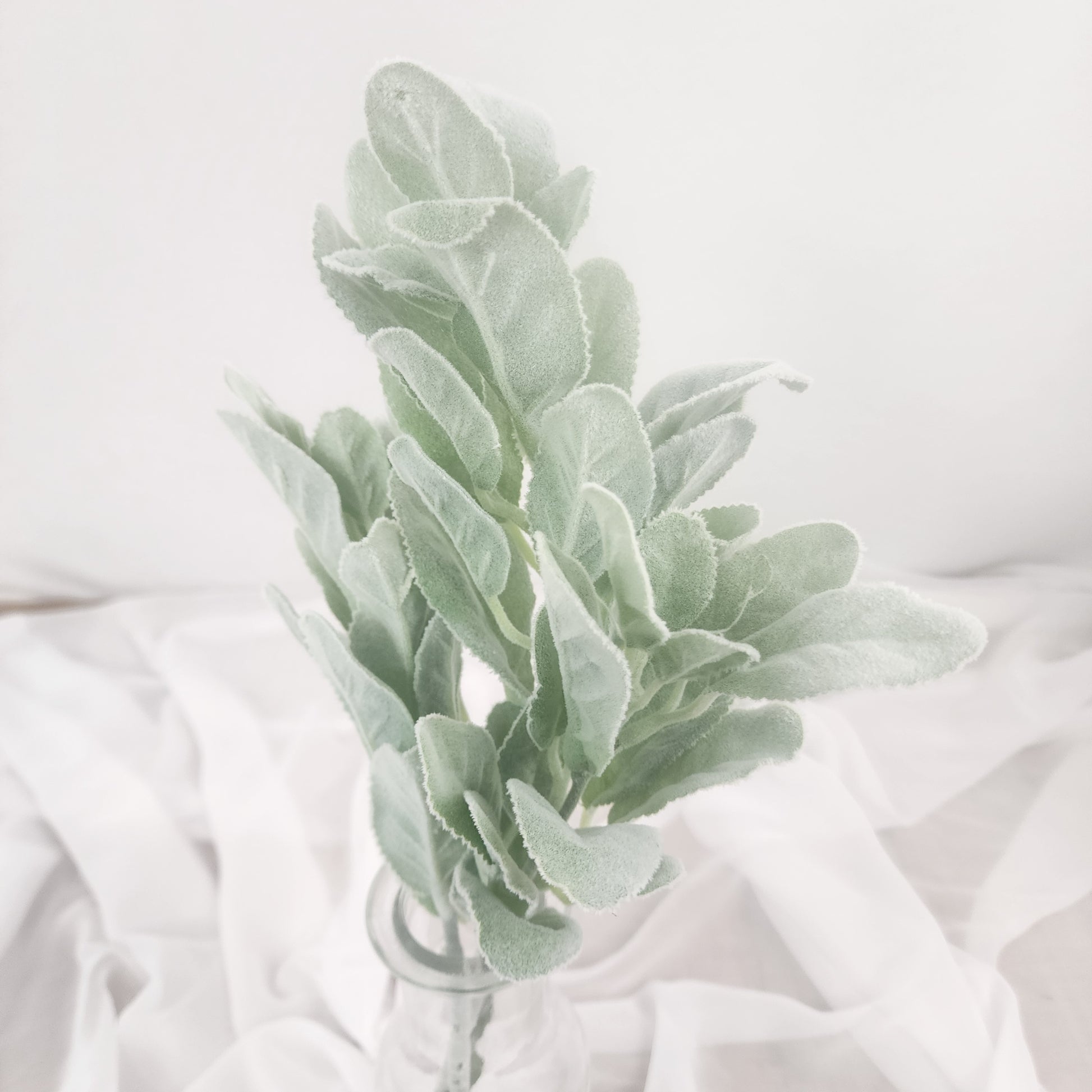 Lambs Ear /Woolly Hedgenettle Greenery -Realistic Artificial Greenery