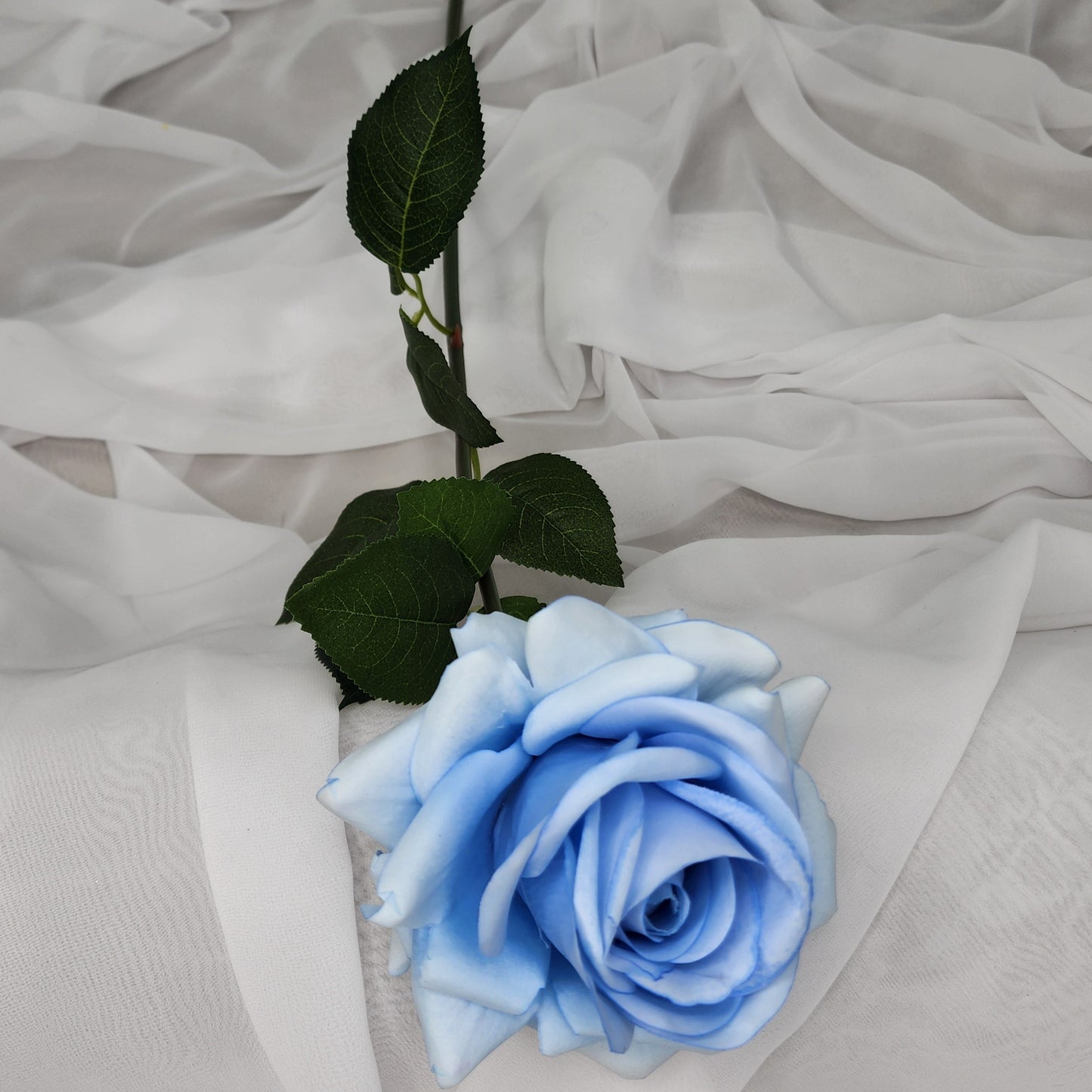 Ice Blue Royal Real Touch Rose