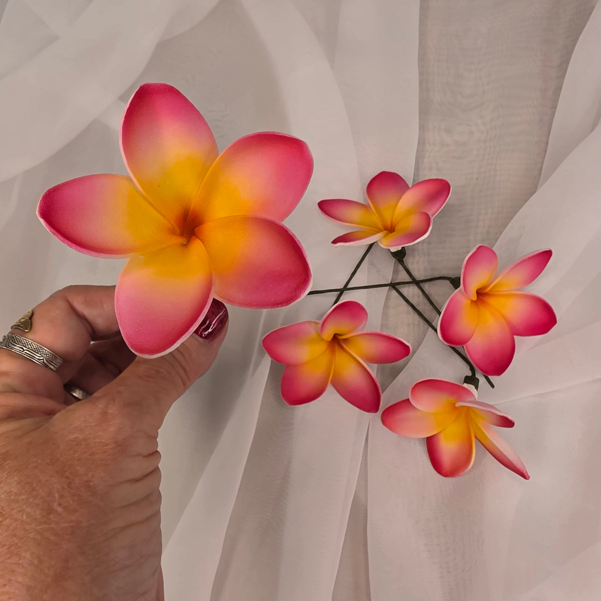 Dark Pink/White/Yellow Frangipani 7cm Flowerhead