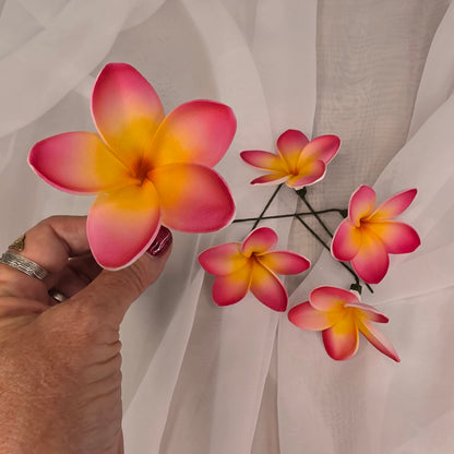 Dark Pink/White/Yellow Frangipani 7cm Flowerhead
