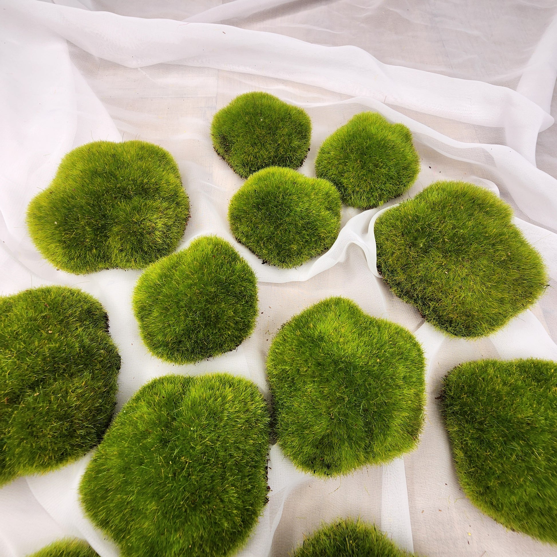 Moss Rocks Artificial - Realistic Artificial Greenery