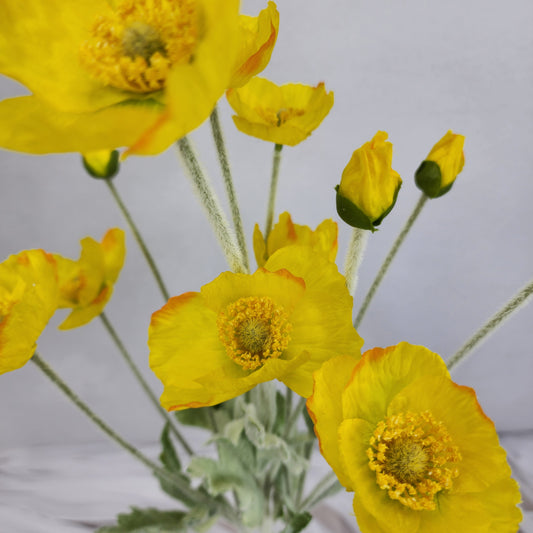 Icelandic Yellow Poppies - Realistic Artificial Flowers