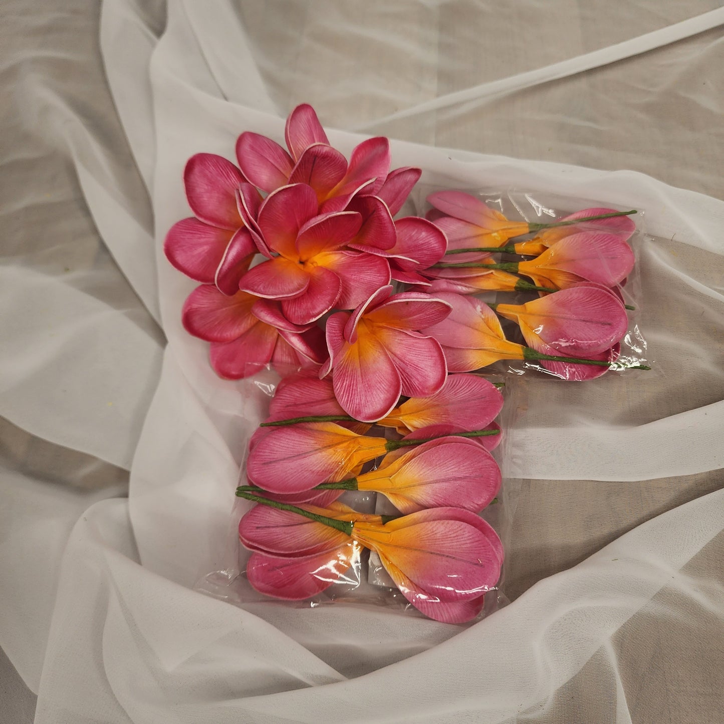 Fiji Frangipani Flowerhead ( 6 Pack )