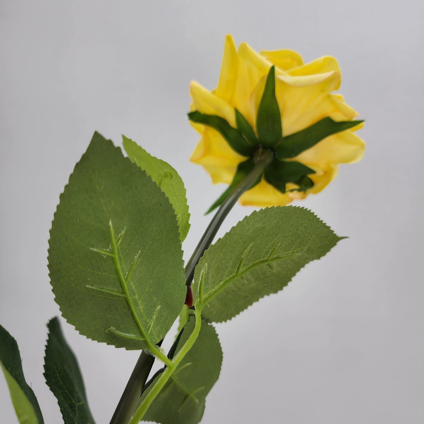 Yellow Royal Real Touch Rose