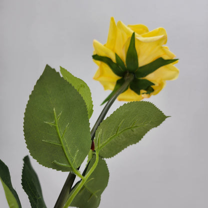 Yellow Royal Real Touch Rose