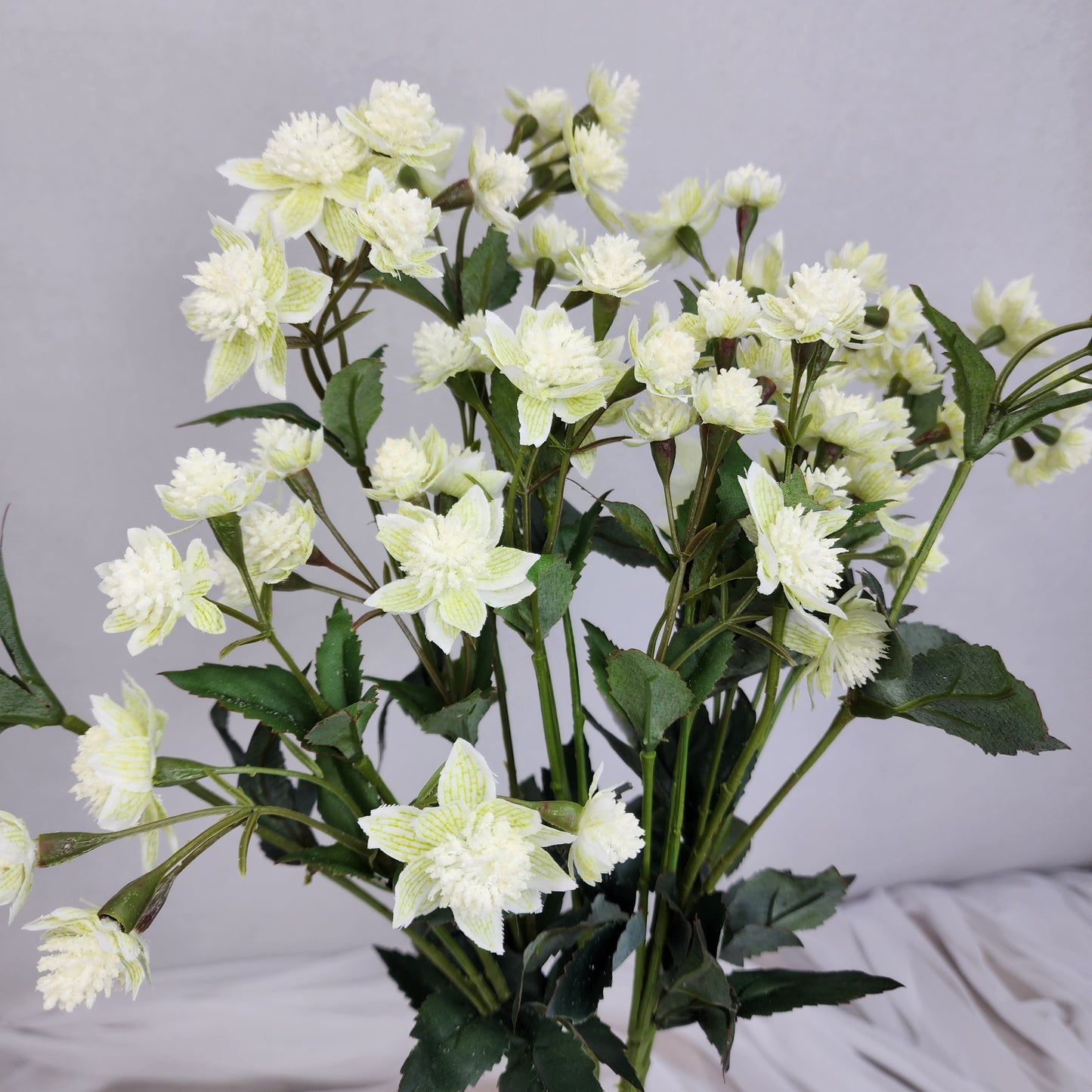 Astrania White- Realistic Artificial Flowers