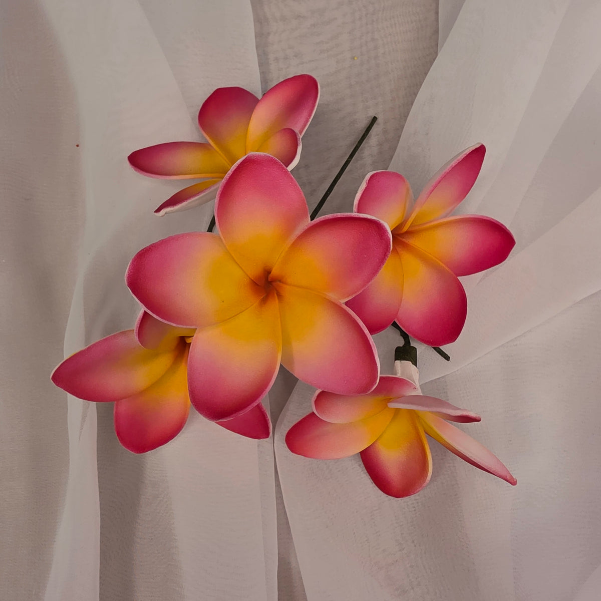 Dark Pink/White/Yellow Frangipani 7cm Flowerhead
