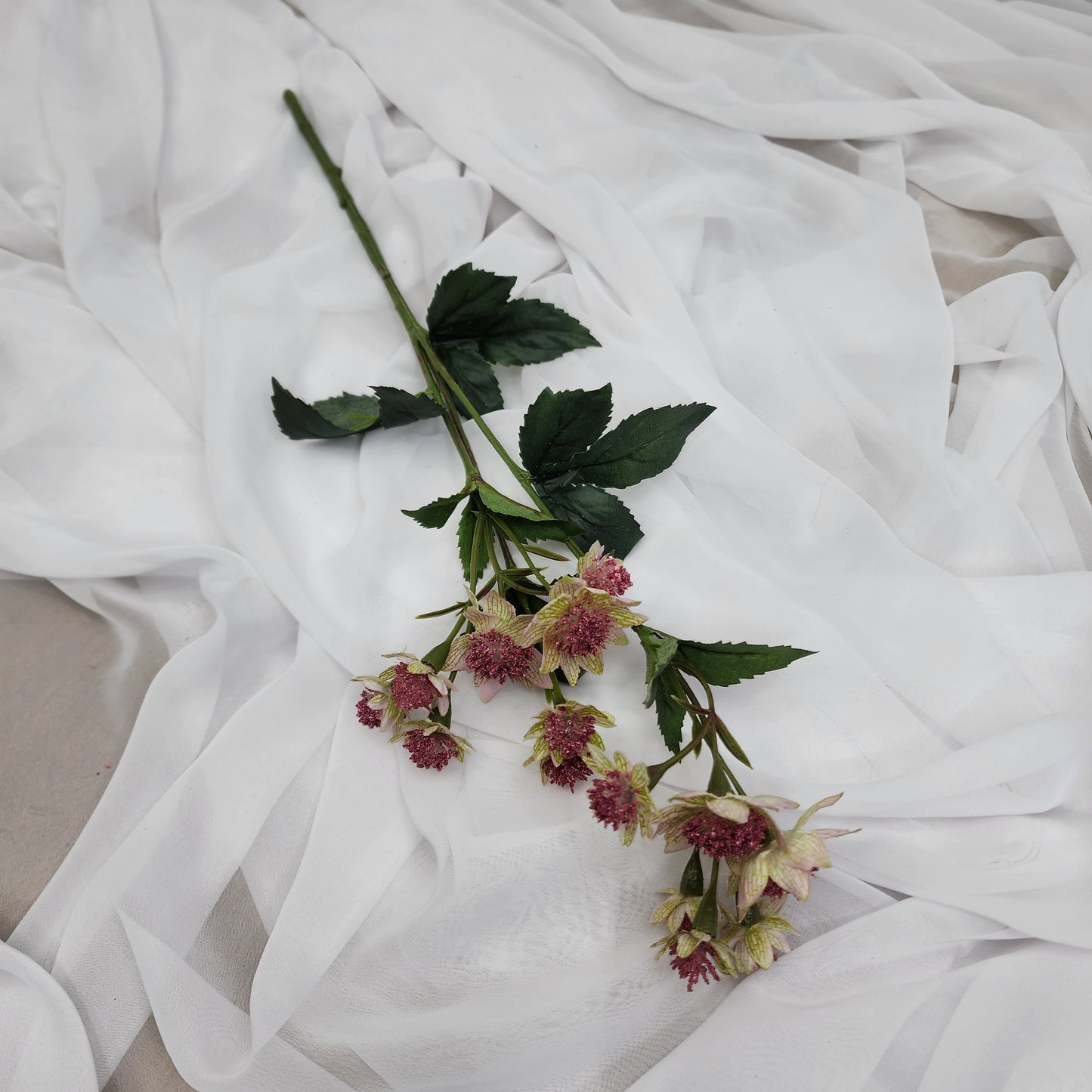Astrania Pink - Realistic Artificial Flowers