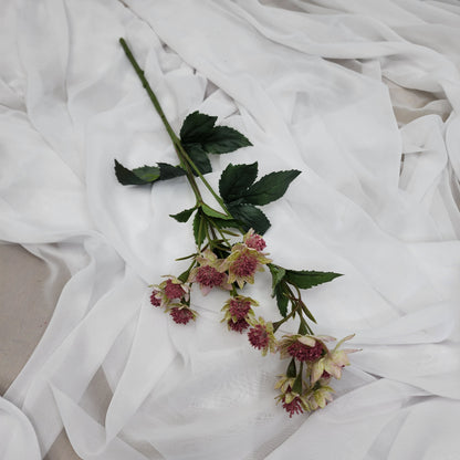 Astrania Pink - Realistic Artificial Flowers