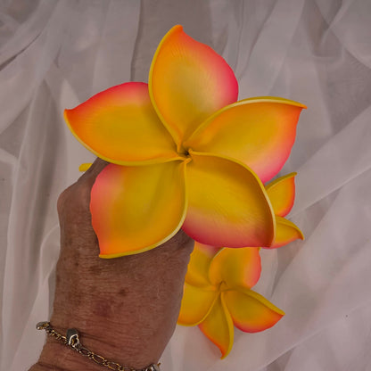 Hot Pink and Yellow Frangipani 11.5cm Flowerhead