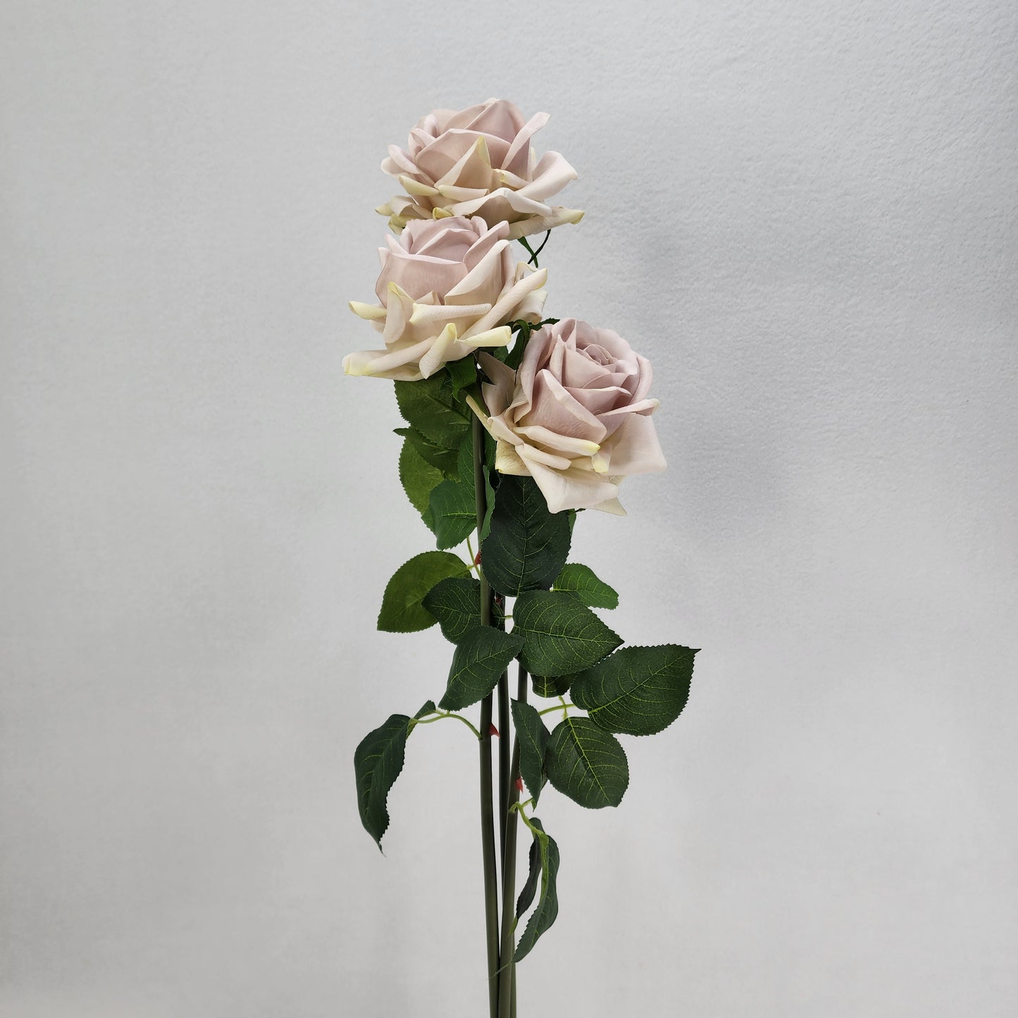 Quick Sand Royal Real Touch Rose