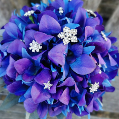 Galaxy Dendrobium Orchids
