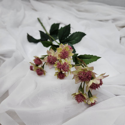 Astrania Pink - Realistic Artificial Flowers