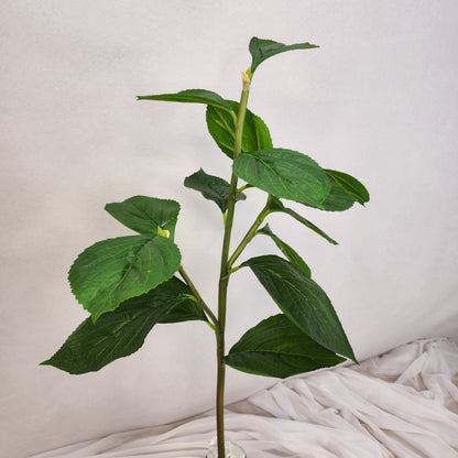 Hydrangea Leaf Spray