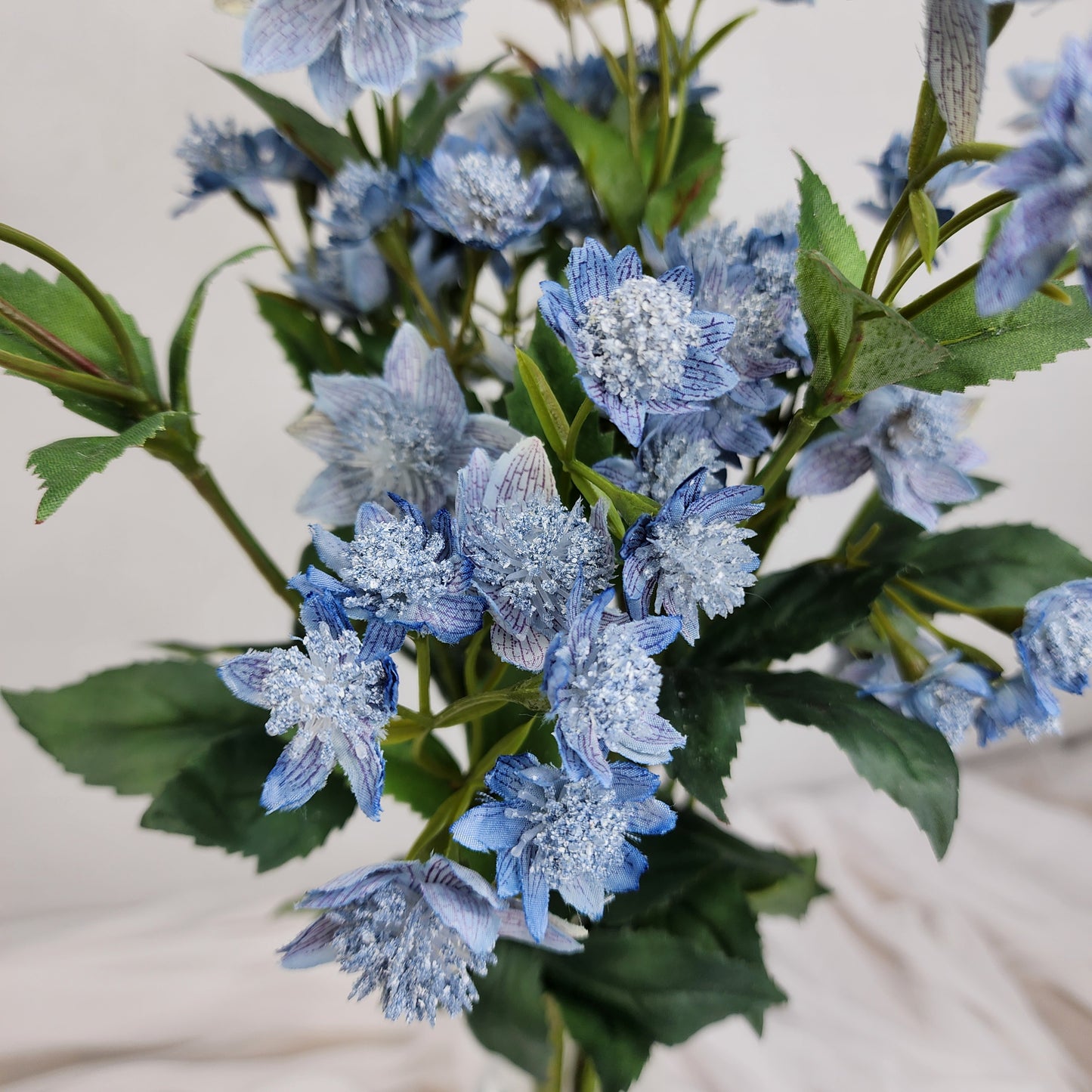 Astrania Dusty Blue - Realistic Artificial Flowers