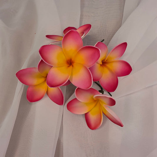 Dark Pink/White/Yellow Frangipani 7cm Flowerhead