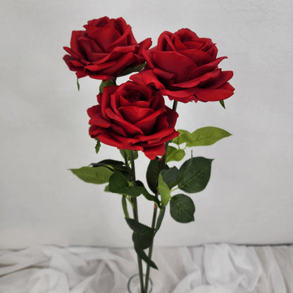 Red Royal Real Touch Rose