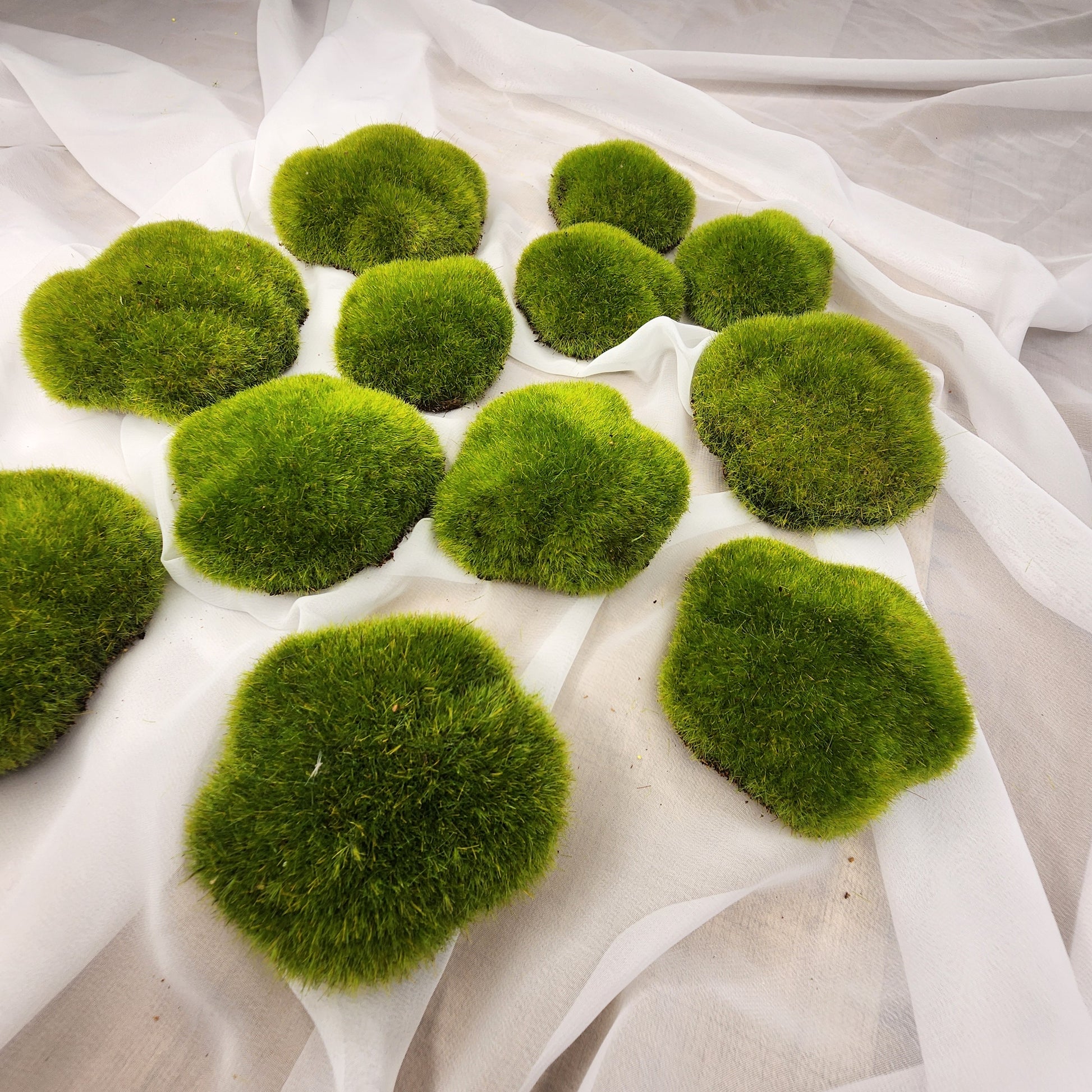 Moss Rocks Artificial - Realistic Artificial Greenery