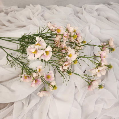 Pale Pink Mini Cosmos Spray - Realistic Artificial Flowers