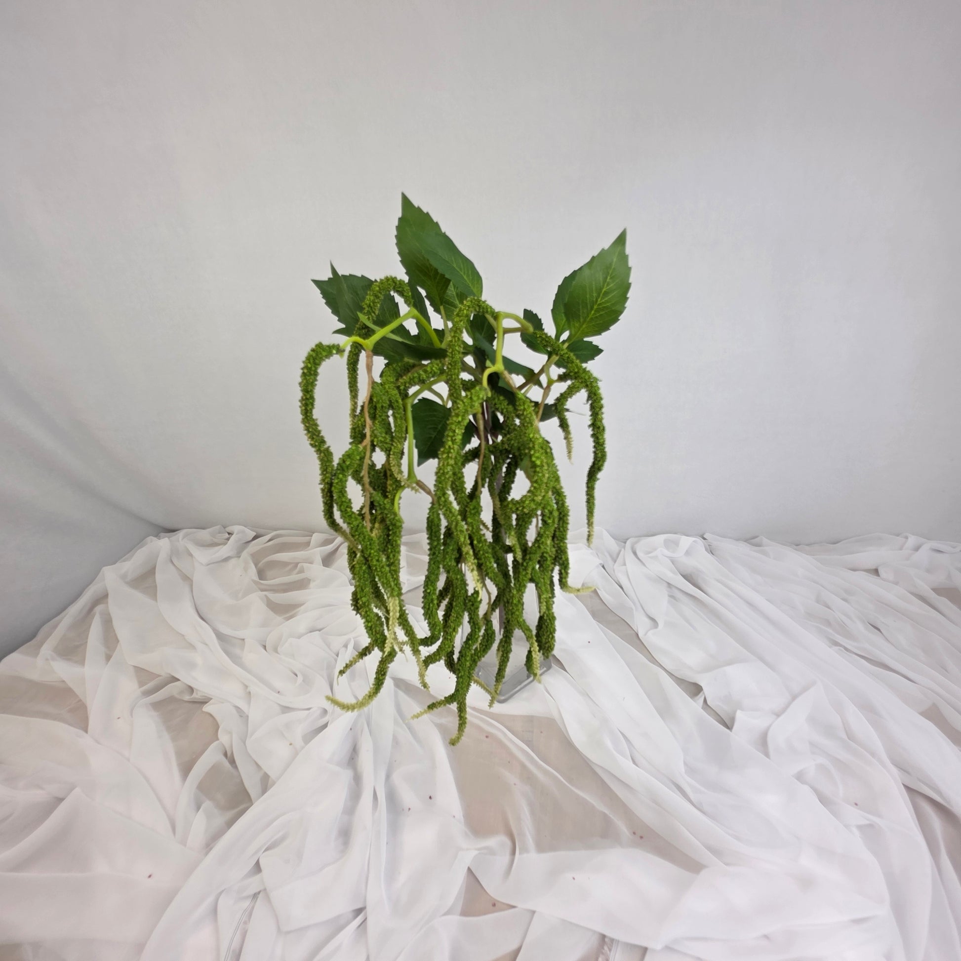 Green Amaranthus Artificial Greenery