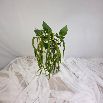 Green Amaranthus Artificial Greenery