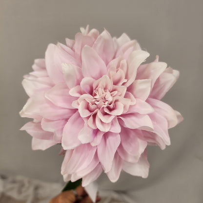 Light Pink Dahlia Silk Touch- Realistic Artificial Flowers