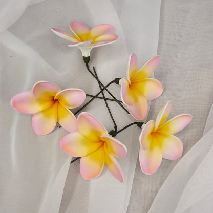 Pink/White/Yellow Frangipani 7cm Flowerhead
