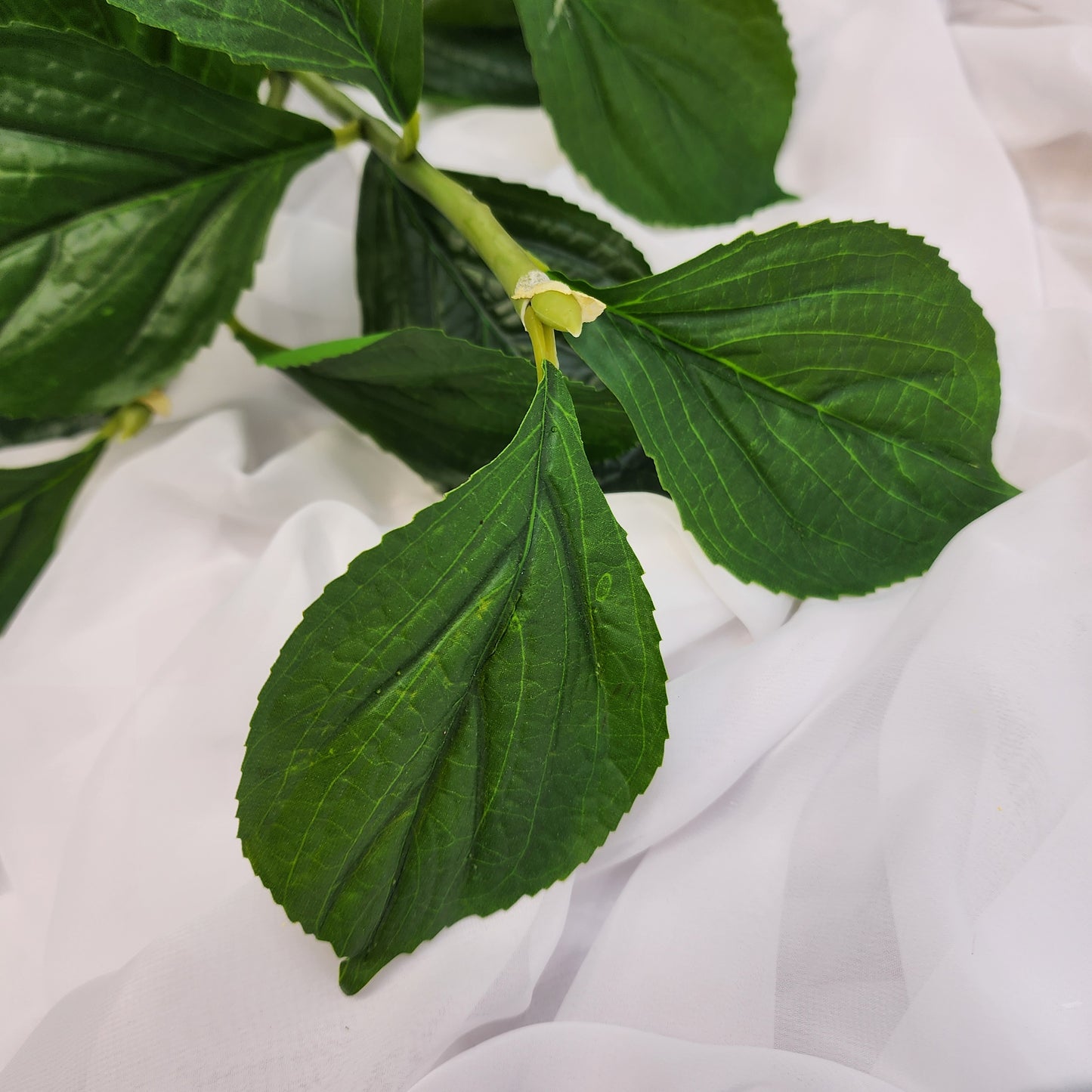 Hydrangea Leaf Spray