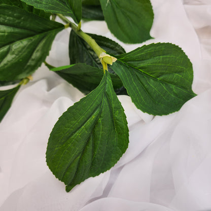 Hydrangea Leaf Spray