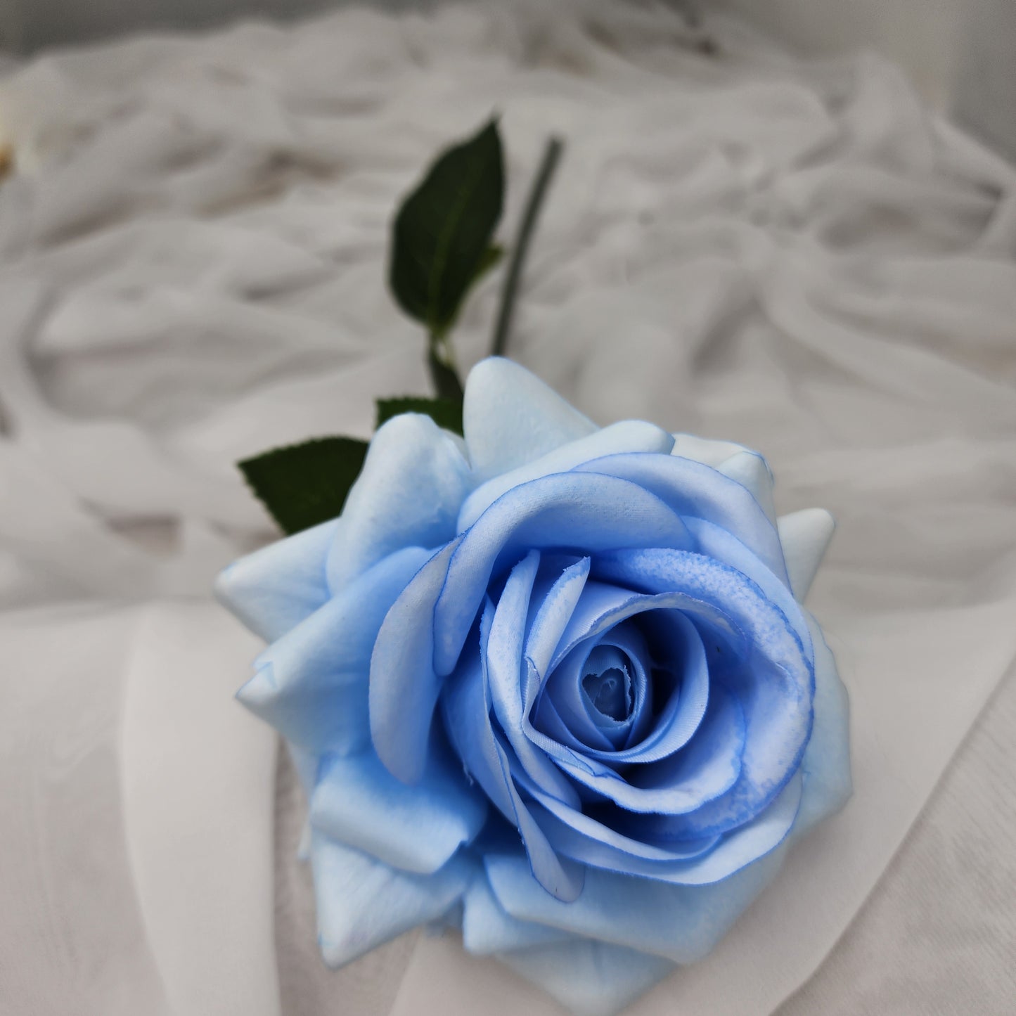 Ice Blue Royal Real Touch Rose