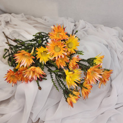 Desert Daisy Orange- Kaaps Flower , Realistic Artificial Flowers
