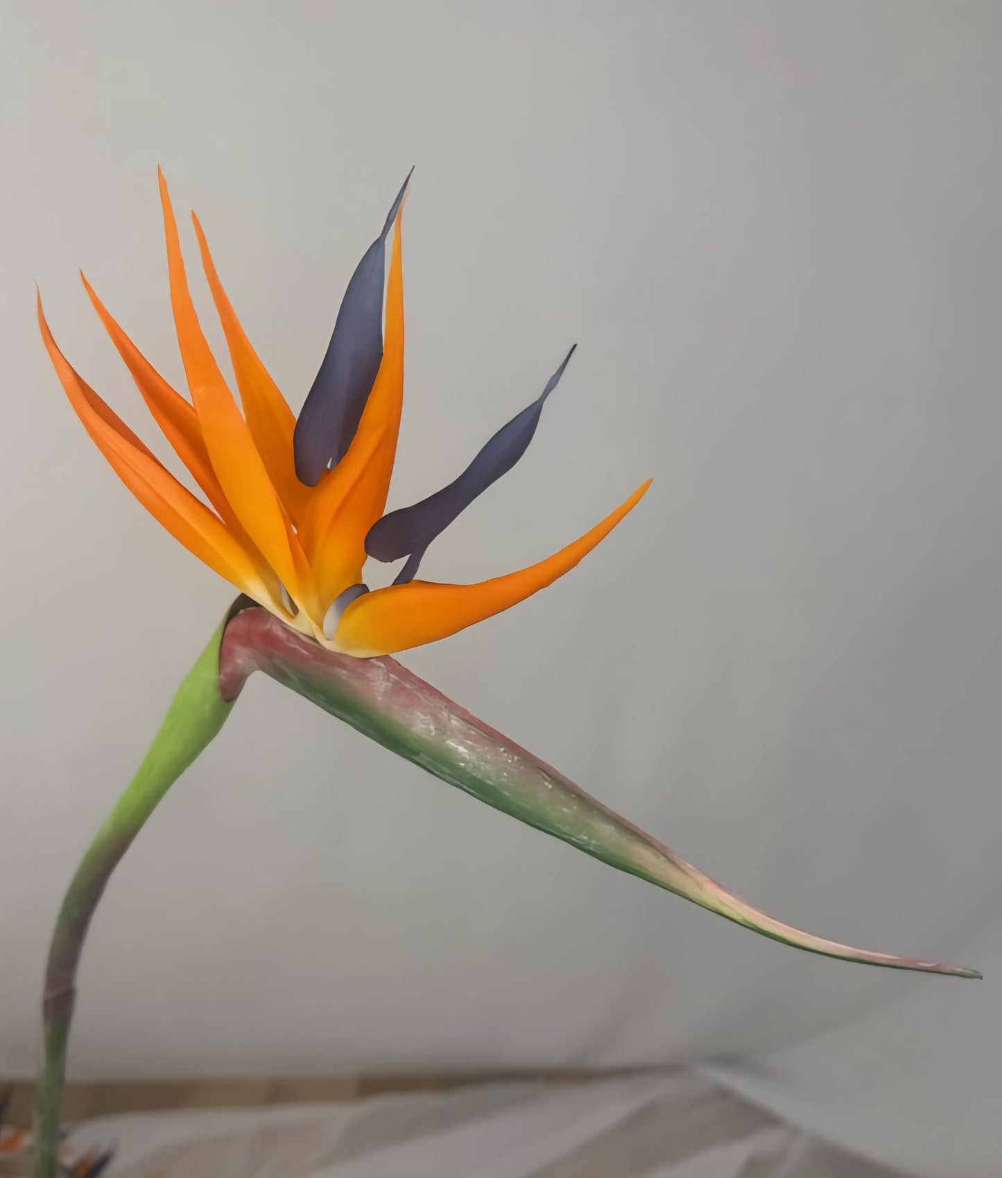 Bird of Paradise - Realistic Artificial Flowers